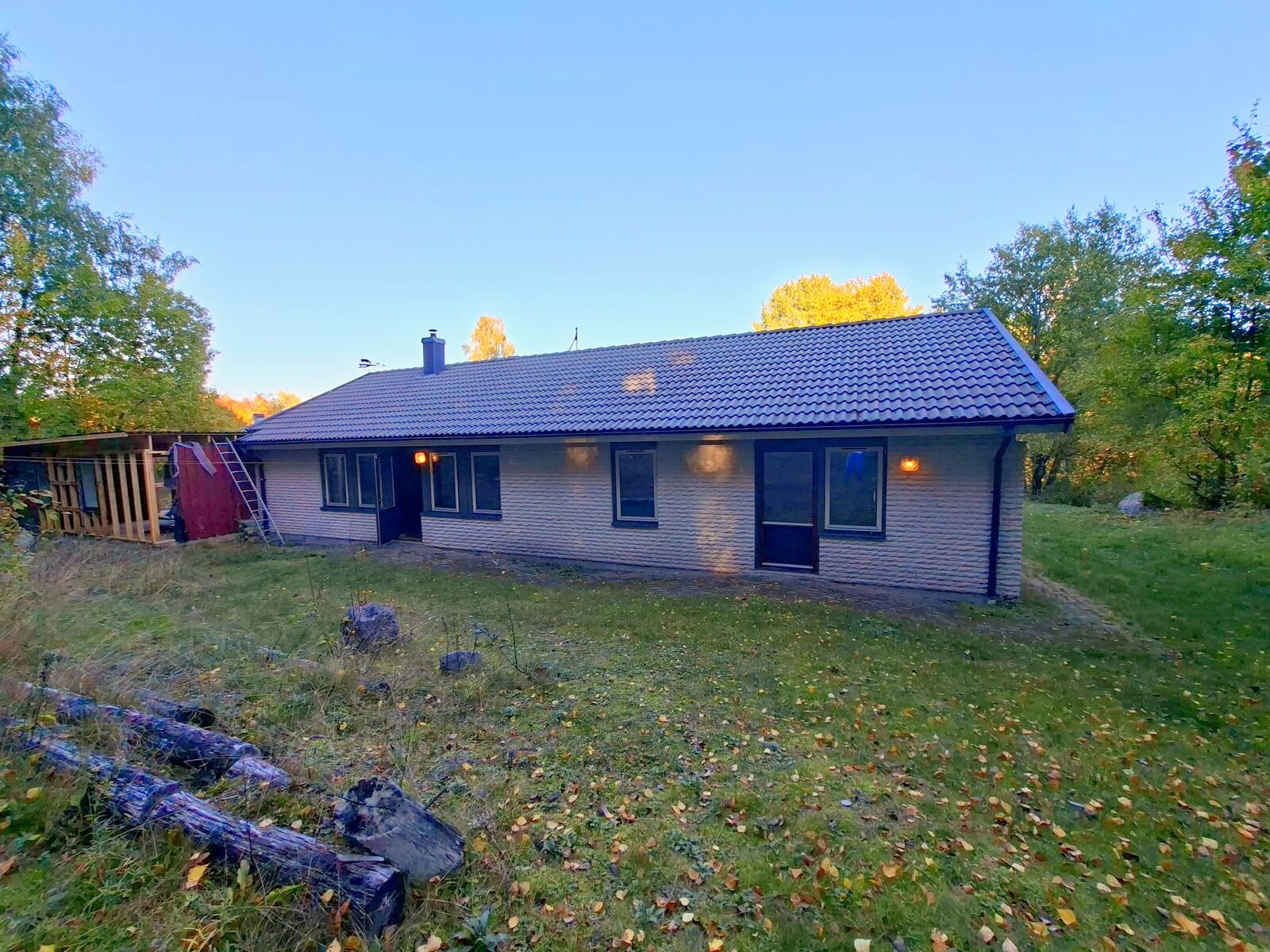 Back of the house with forest