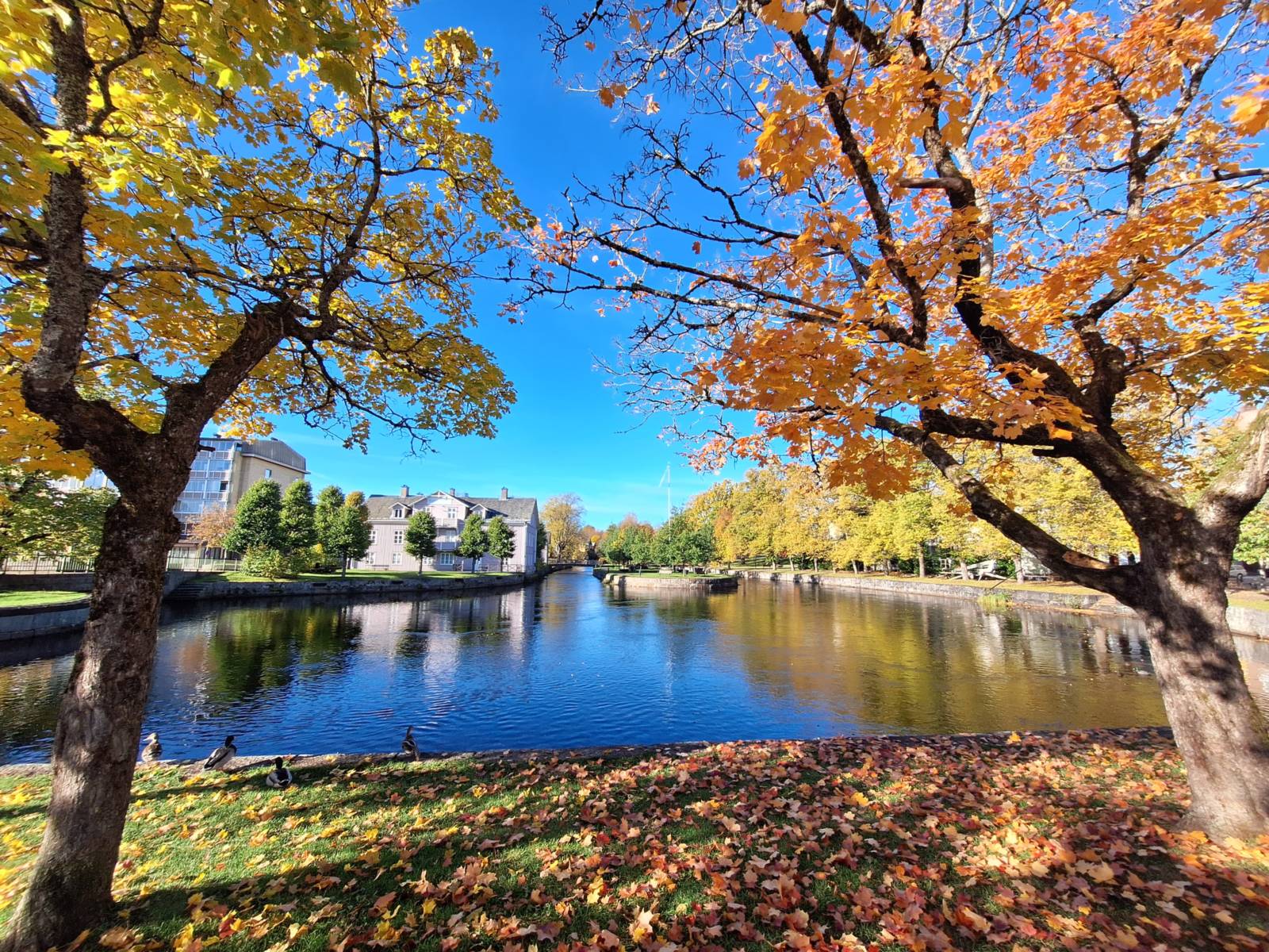 See in Schweden im Herbst