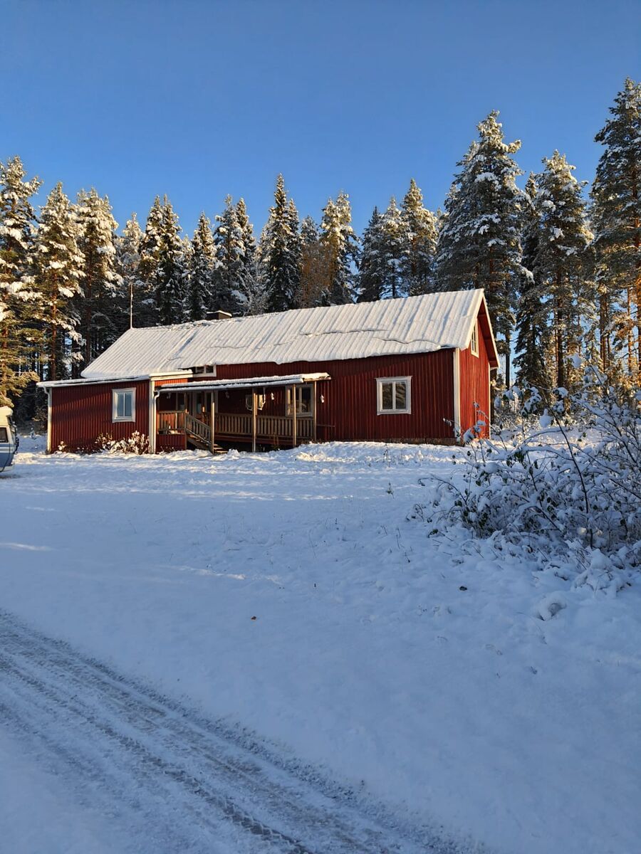 Bäckmyran, Foto 4