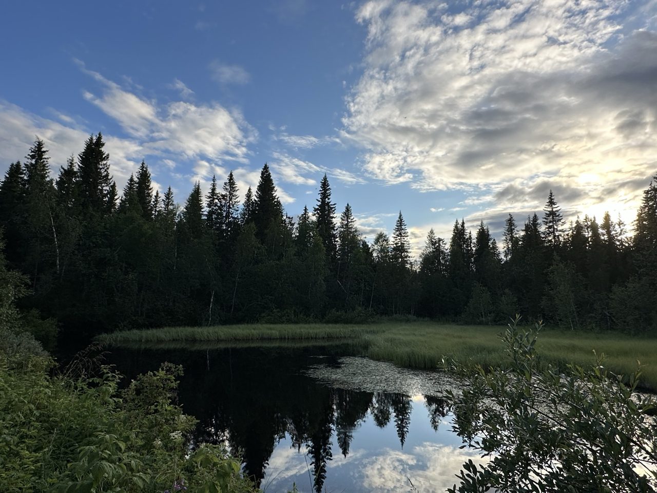 Teich auf dem Grundstück in Fredrika